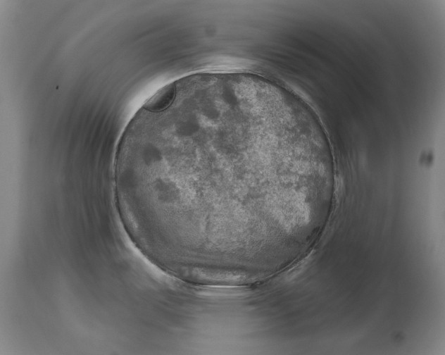 X0000114651487200911101310