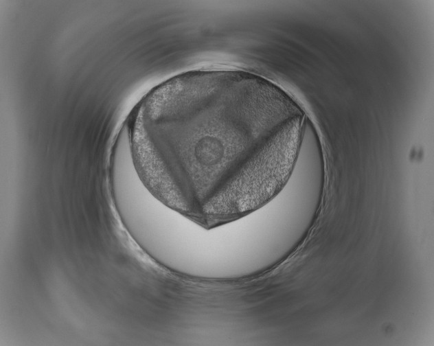 X0000114651488200911101310