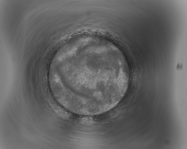 X0000114651489200911101309