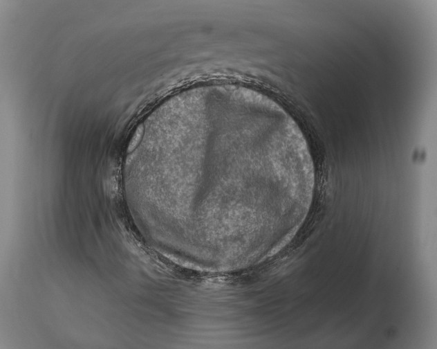 X0000114651490200911101309