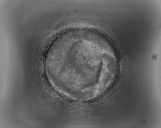 X0000114651493200911101309