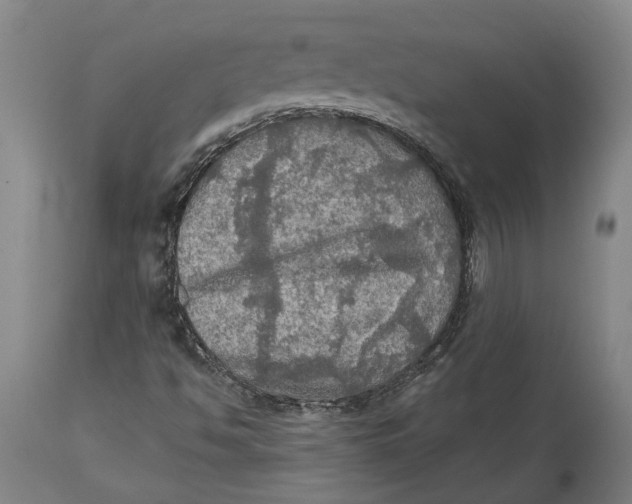 X0000114651494200911101309