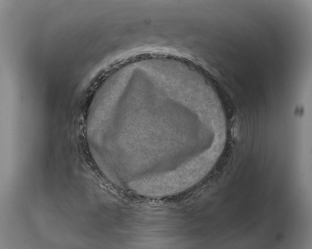 X0000114651495200911101309