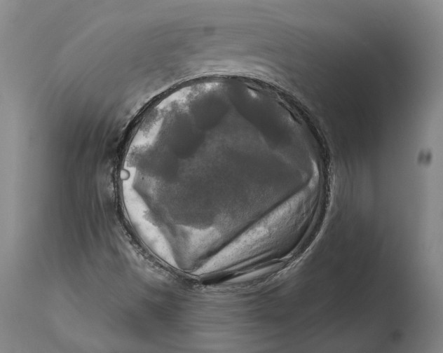 X0000114651497200911101309