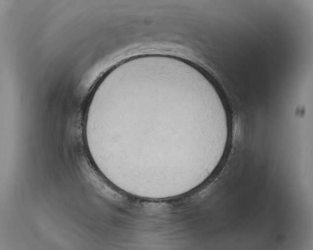 X0000114651498200911101309