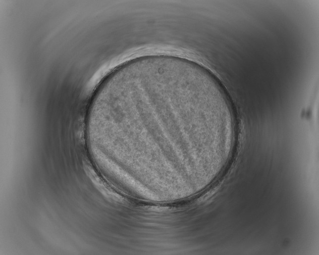 X0000114651499200911101309