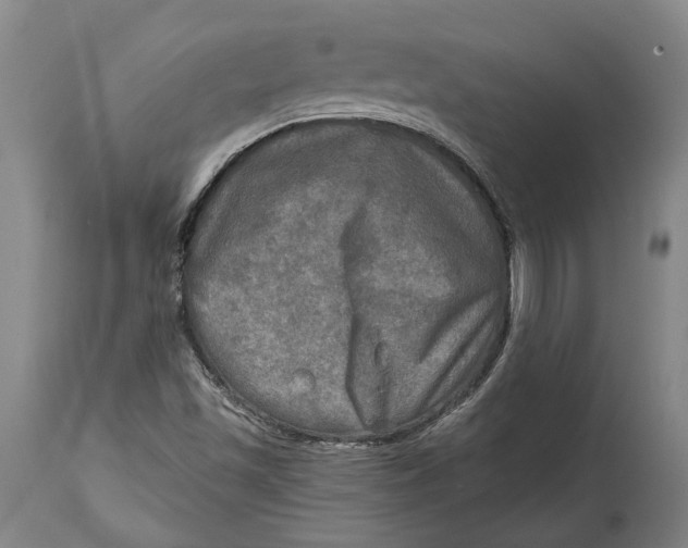 X0000114651501200911101309