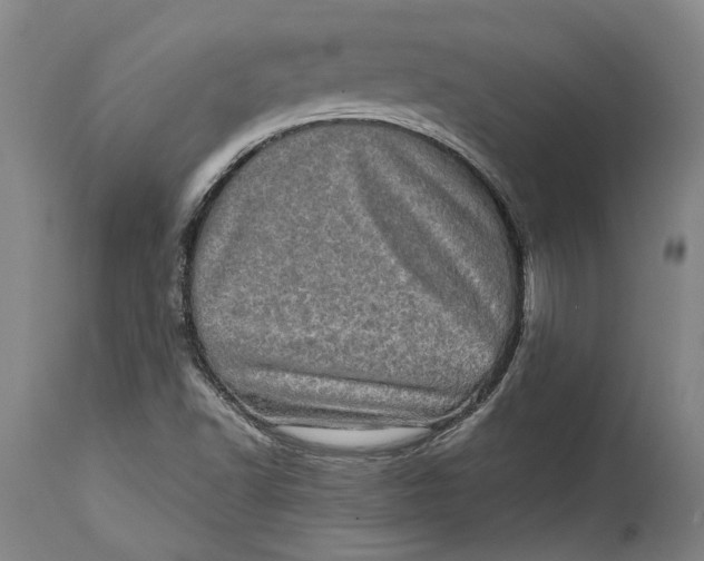 X0000114651502200911101309