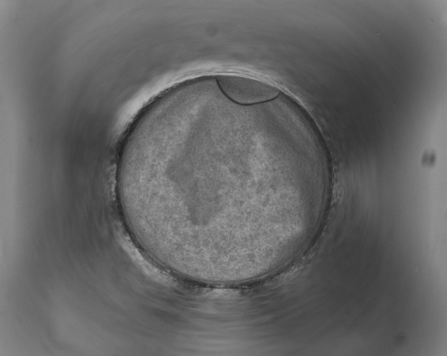 X0000114651503200911101309