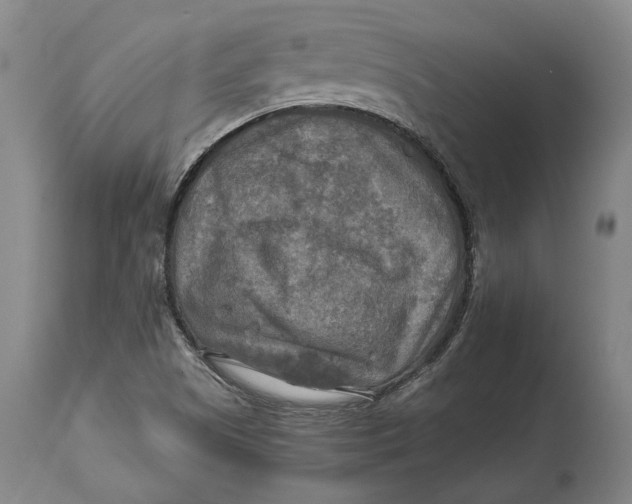 X0000114651505200911101309