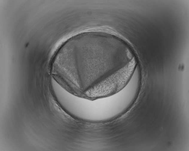 X0000114651506200911101309