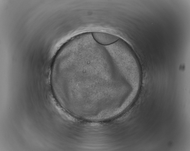 X0000114651507200911101309