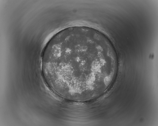 X0000114651509200911101309