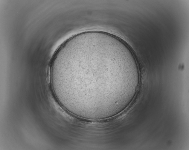 X0000114651510200911101309