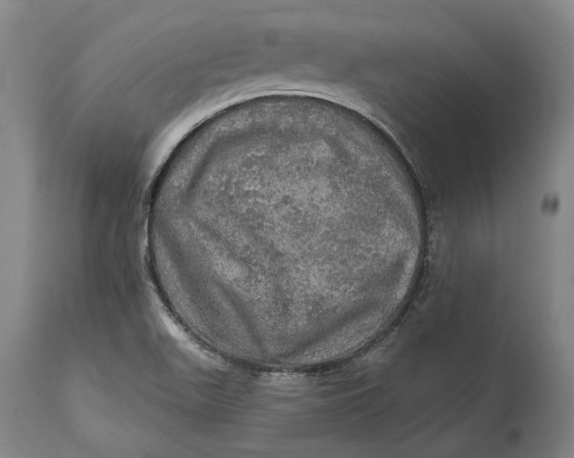 X0000114651511200911101309