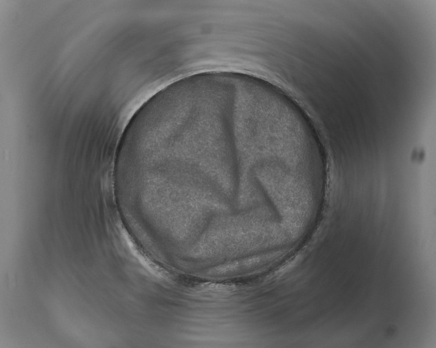 X0000114651513200911101309