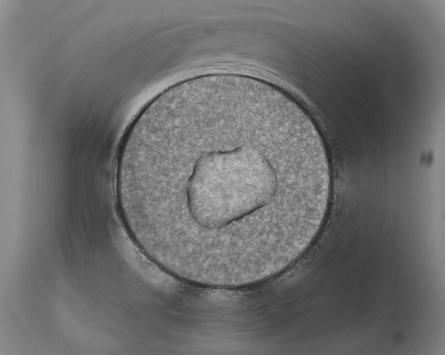 X0000114651514200911101309