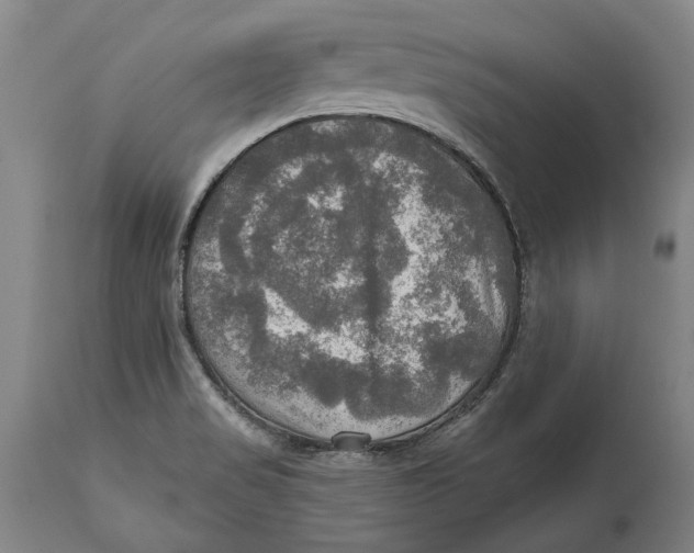 X0000114651517200911101309