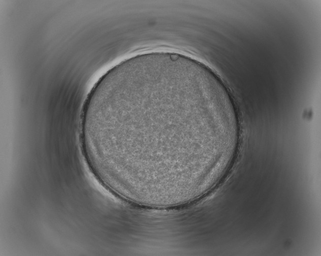 X0000114651518200911101309