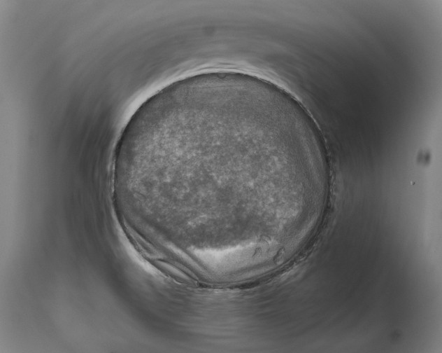 X0000114651519200911101309