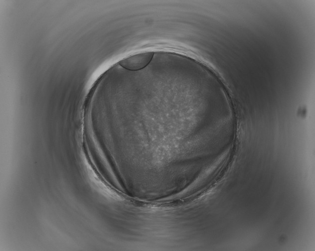 X0000114651522200911101309