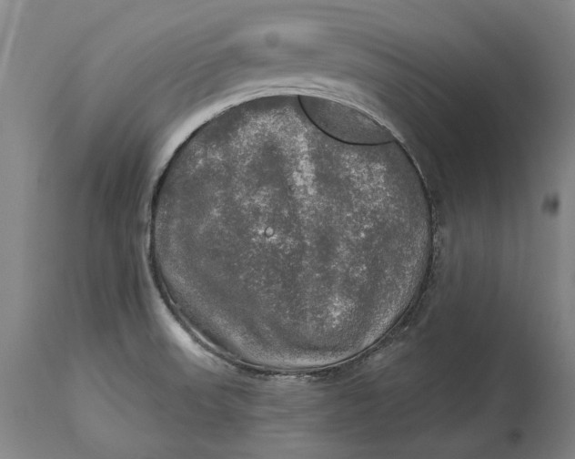 X0000114651523200911101309