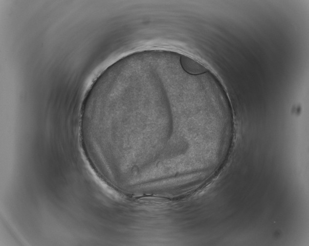 X0000114651525200911101309