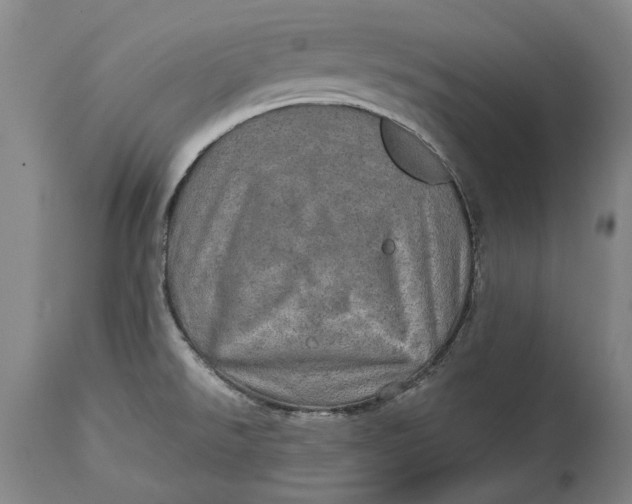 X0000114651526200911101309