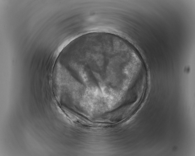 X0000114651529200911101309