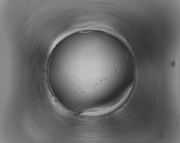 X0000114651530200911101309