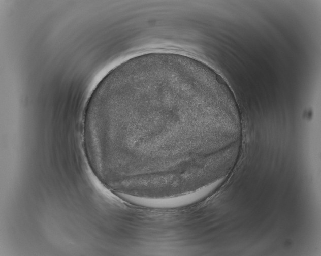 X0000114651531200911101310