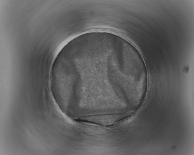 X0000114651533200911101310