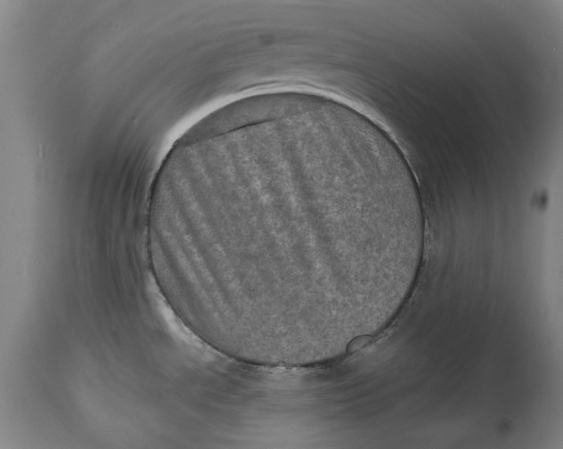 X0000114651534200911101310