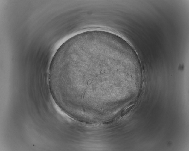 X0000114651535200911101310