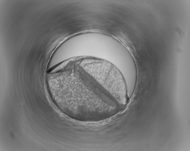 X0000114650001200911171100