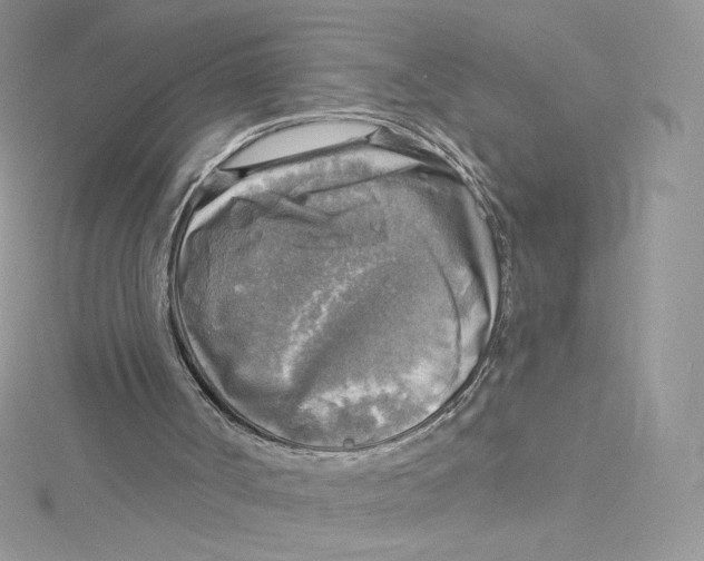 X0000114650002200911171100