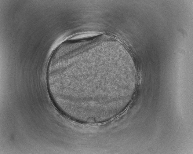 X0000114650004200911171100