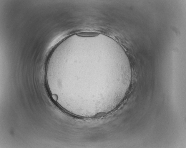 X0000114650005200911171100