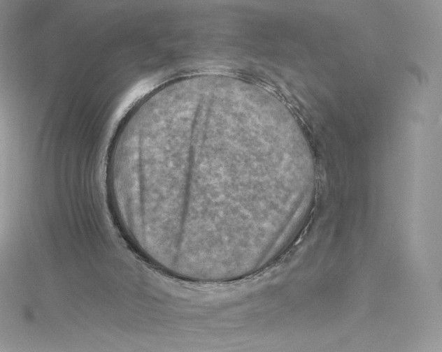 X0000114650006200911171100