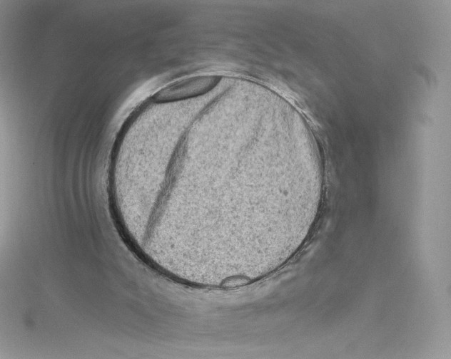 X0000114650007200911171100