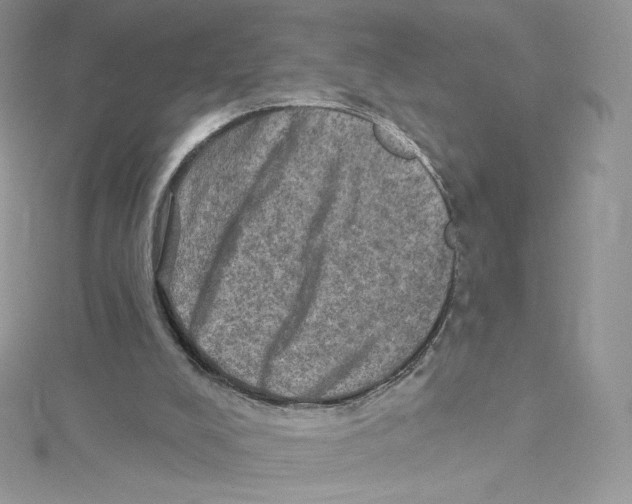 X0000114650008200911171100