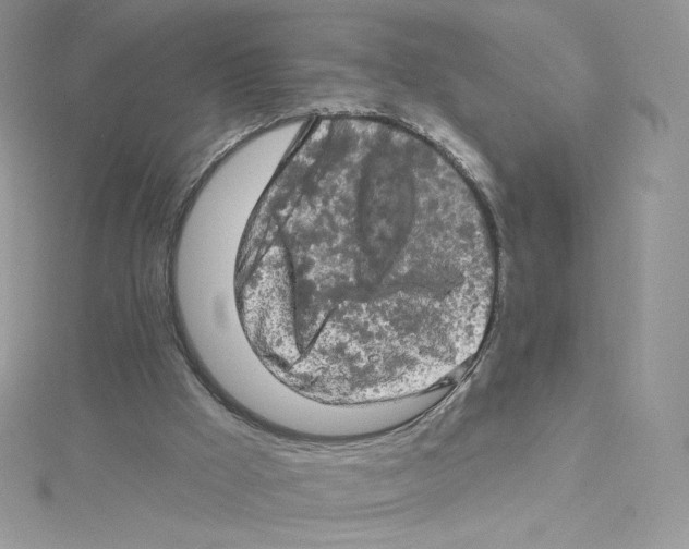 X0000114650009200911171100