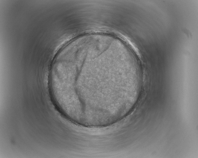 X0000114650010200911171100