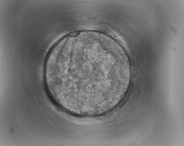 X0000114650012200911171100