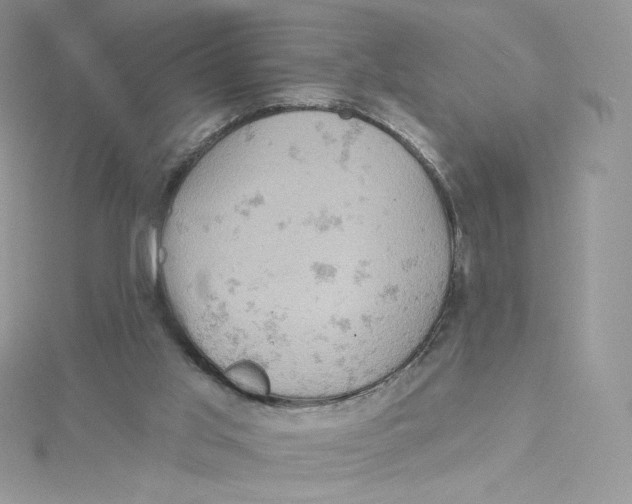 X0000114650013200911171100