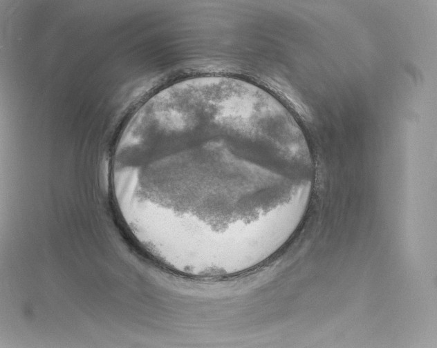 X0000114650014200911171100