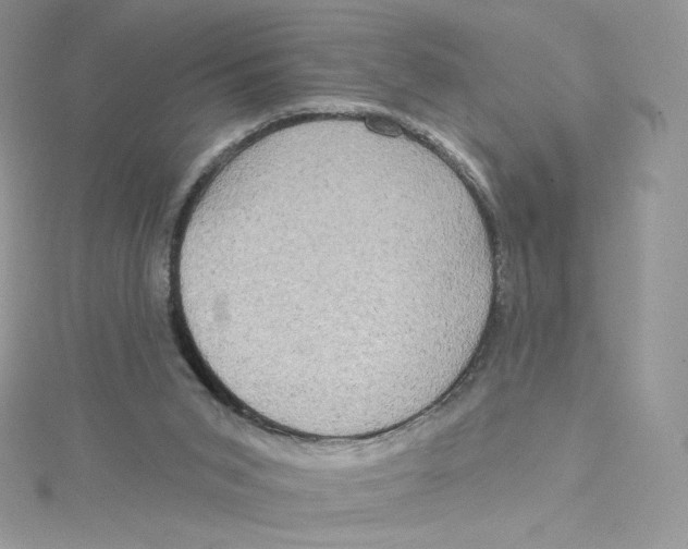 X0000114650015200911171100