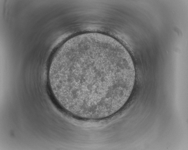 X0000114650016200911171059