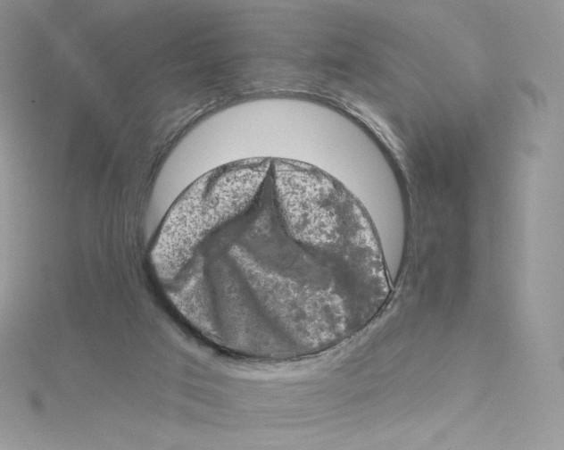 X0000114650017200911171059