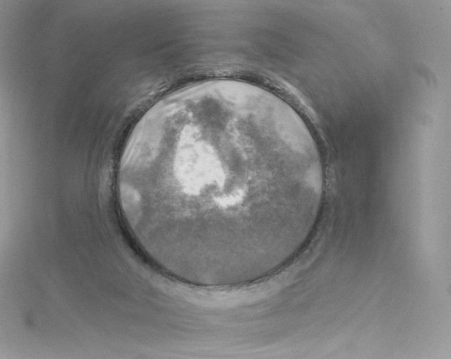 X0000114650018200911171059